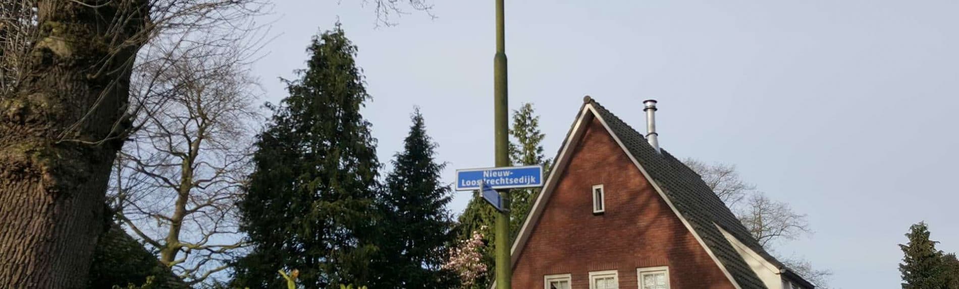 Wespenbestrijding Loosdrecht/ Wespennest / hoornaars