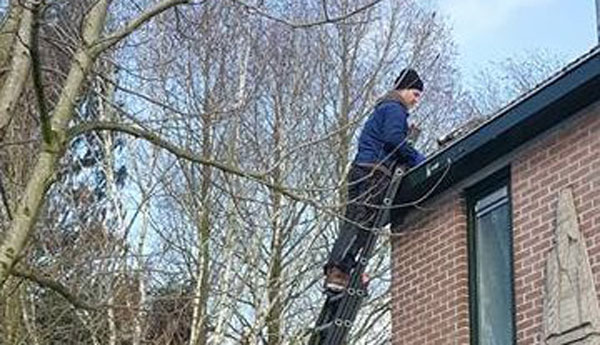 Vogelwering in de winter